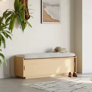 جاکفشی نیمکتی