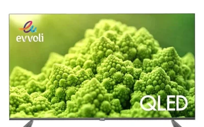 راهنمای هوشمندانه شما برای خرید مدل های تلویزیون 55 اینچ ایوولی!