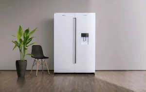 یخچال دوقلو دیپوینت