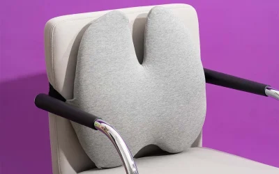 راهنمای خرید پشتی کمری صندلی اداری: نکات مهمی که قبل از خرید باید بدانید!